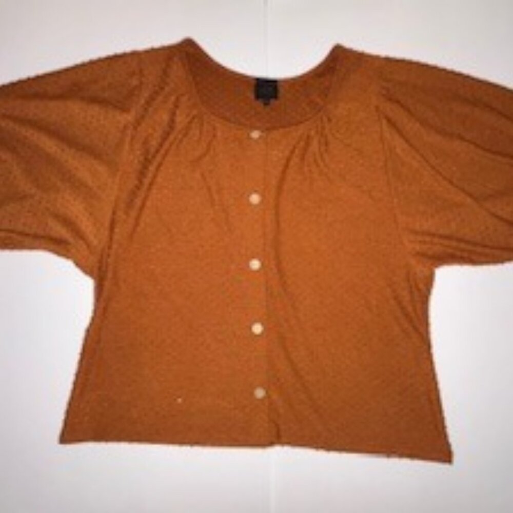 W5 , Sunburnt Orange Blouse, Size Large